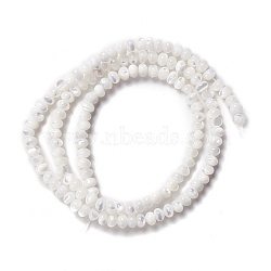 Natural Trochid Shell/Trochus Shell Beads Strands, Abacus Beads, Seashell Color, 3x4~4.5mm, Hole: 0.9mm, about 135pcs/strand, 15.94 inch(40.5cm)(X-SSHEL-O001-24B-02)
