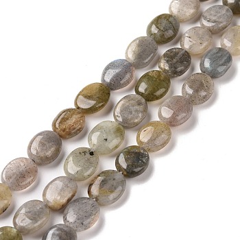 Natural Labradorite Beads Strands, Oval, 9~11x8~8.5x4.5~5mm, Hole: 0.8mm, about 39pcs/strand, 15.55 inch(39.5cm)