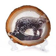 Printed Natural Agate Slice Stone Ornament, for Good Luck Home Office Decor, Leopard, 125~135x95~135x6.5~9mm(DJEW-M011-03G)