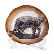 Printed Natural Agate Slice Stone Ornament, for Good Luck Home Office Decor, Leopard, 95~135x95~135x6.5~9mm(DJEW-M011-03G)