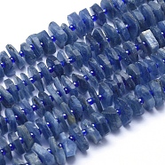 Natural Kyanite/Cyanite/Disthene Beads Strands, Nuggets, 10~12x1.5~5mm, Hole: 1mm, about 84pcs/strand, 16.5 inch(42cm)(G-K221-02A)
