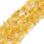 Natural Citrine Beads Strands, Dyed & Heated, Chip, 3~16x3~8mm, Hole: 0.7mm, 32.28''(82cm)(G-G011-04)