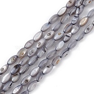 Natural Freshwater Shell Dyed Beads Strands, Horse Eye, Slate Gray, 9.5x5mm, Hole: 0.8mm, about 41pcs/strand, 14.96''(38cm)(SHEL-M018-13-04)