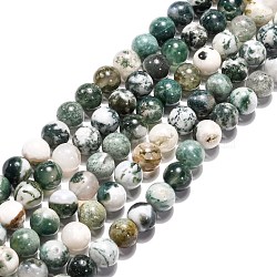 Natural Tree Agate Beads Strands,  Round, Medium Sea Green, 8mm, Hole: 1mm(X-G-H1633-8MM)