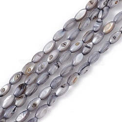 Natural Freshwater Shell Dyed Beads Strands, Horse Eye, Slate Gray, 9.5x5mm, Hole: 0.8mm, about 41pcs/strand, 14.96''(38cm)(SHEL-M018-13-04)