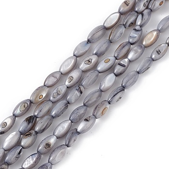 Natural Freshwater Shell Dyed Beads Strands, Horse Eye, Slate Gray, 9.5x5mm, Hole: 0.8mm, about 41pcs/strand, 14.96''(38cm)