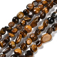 Natural Tiger Eye Beads Strands, Nuggets, Tumbled Stone, 7~13x4.5~10x4.5~10mm, Hole: 1.2mm, about 44~46pcs/strand, 15.08~16.14 inch(38.3~41cm)(G-P497-01E-20)