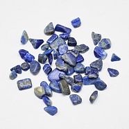 Natural Lapis Lazuli Chip Beads, No Hole, 1~30mm(G-G903-01)