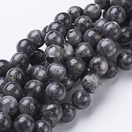 Natural Larvikite Beads Strands, Round, about 10mm, Hole: 1mm, about 40pcs/strand, 15.5 inch(X-GSR10mmC128)