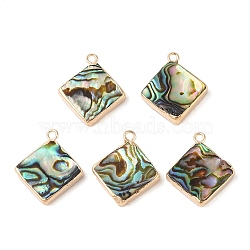 Natural Paua Shell Pendants, Rhombus Charms with Brass Edge, Golden, 22x19x3.5mm, Hole: 1.8mm(SHEL-P017-13G)