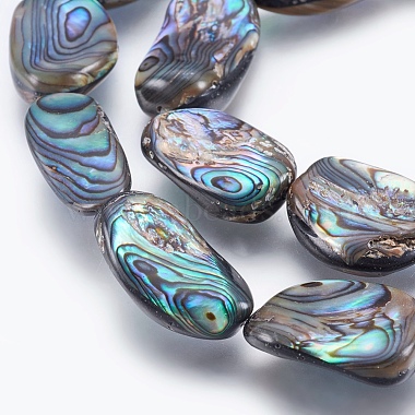 Natural Abalone Shell/Paua Shell Beads Strands(SSHEL-P014-02)-3