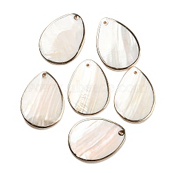 Natural Freshwater Shell Pendants, Teardrop Charms with Brass Edge, Golden, 40~40.5x29~29.5x2~3mm, Hole: 1.4mm(BSHE-G034-15)