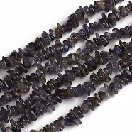 Natural Iolite Beads Strands, Chip, 1.5~4.5x6.5~11.5mm, Hole: 1mm, about 33.39 inch(84.8cm)(G-D0002-C48)