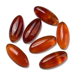 Natural Red Agate Cabochons, Horse Eye, 17.5~18x7.5~8x3.5~4mm(G-B050-24C)