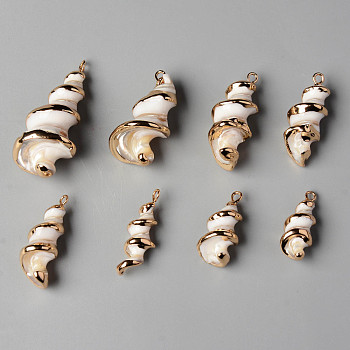 Natural Trochid Shell/Trochus Shell Pendants, with Iron Loops, Edge Golden Plated, Vortex, Seashell Color, 20~40x8~17x8~16mm, Hole: 1.8mm