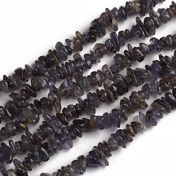 Natural Iolite Beads Strands, Chip, 1.5~4.5x6.5~11.5mm, Hole: 1mm, about 33.39 inch(84.8cm)