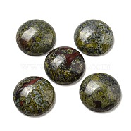 Natural Dragon Blood Cabochons, Flat Round, 20~21.5x6~8mm(G-C115-02A-11)