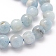 Natural Aquamarine Beads Strands(G-P335-01-10mm)-3