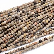 Natural Fossil Coral Round Bead Strands, Faceted, 4mm, Hole: 1mm, about 98pcs/strand, 16 inch(G-O094-08-4mm)