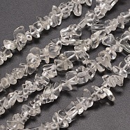 Glass Chip Bead Strands, Clear, 5~8x5~8mm, Hole: 1mm, about 31.5 inch(G-M205-09)