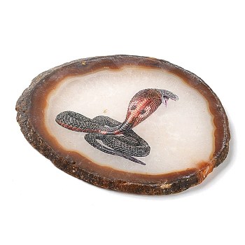 Printed Natural Agate Slice Stone Ornament, for Good Luck Home Office Decor, Snake, 115~125x110~130x7~8mm