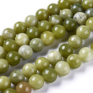 Natural Chinese Jade/Southern Jade Beads Strands, Round, 6mm, Hole: 1mm, about 64pcs/strand, 15.5 inch(G-G735-38-6mm)