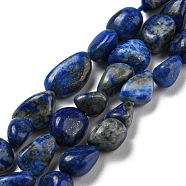 Natural Lapis Lazuli Beads Strands, Nuggets, Tumbled Stone, 3~11x4~8x3~6mm, Hole: 0.9mm, about 56pcs/strand, 15.94''~15.75''(40~40.5cm)(G-P497-01A-14)