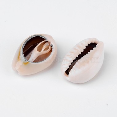 Natural Cowrie Shell Beads(BSHE-S053)-2