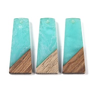 Resin & Wood Pendants, Trapezoid Charms, Aquamarine, 38x15x3.5mm, Hole: 2mm(WOOD-F015-04E)