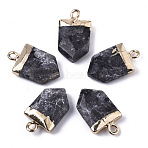 Natural Larvikite Pointed Pendants, with Light Gold Plated Top and Brass Loop, Arrow, Faceted, 19x10.5x4.5mm, Hole: 1.8mm(X-G-N326-34B)