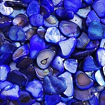 Natural Shell Beads, No Hole, Chip, Dyed, Blue, 9~15x5.5~11x1.5~5mm, 240pcs/bag(BSHE-WH0003-01B)