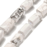 Natural Howlite Beads Strands, with Seed Beads, Faceted, Column, 12~13x6~8x6~8mm, Hole: 1mm, about 28pcs/strand, 15.55''~15.75'(39.5~40cm)(G-K245-I22-01)