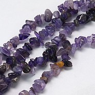 Gemstone Beads Strands, Natural Amethyst, Nugget, 5~12x4~7x2~7mm, Hole: 1mm(X-G-C169-1)