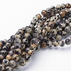 Natural Dalmatian Jasper Beads Strands, Round, 6mm, Hole: 0.8mm, about 60pcs/strand, 15 inch/strand(GSR6mmC004)