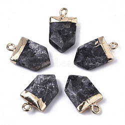 Natural Labradorite Pointed Pendants, with Light Gold Plated Top and Brass Loop, Arrow, Faceted, 19x10.5x4.5mm, Hole: 1.8mm(X-G-N326-34B)