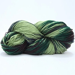 Acrylic Fiber Yarn, Gradient Color Yarn, Olive Drab, 2~3mm, about 50g/roll(PW22122442518)