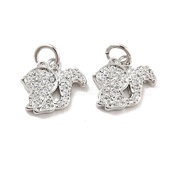 Squirrel Brass Micro Pave Clear Cubic Zirconia Charms, with Jump Ring, Cadmium Free & Lead Free, Platinum, 11x12x2mm, Hole: 3mm(KK-G425-11P)