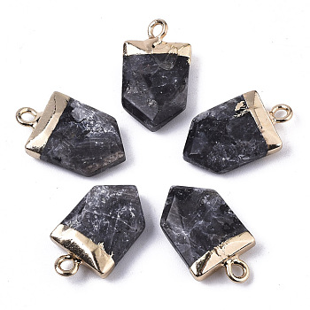 Natural Larvikite Pointed Pendants, with Light Gold Plated Top and Brass Loop, Arrow, Faceted, 19x10.5x4.5mm, Hole: 1.8mm