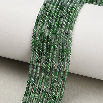 Natural Myanmar Jade/Burmese Jade Beads Strands, Smooth Round, 2mm, Hole: 0.5mm, about 176~179pcs/strand, 15~15.47''(38.1~39.3cm)