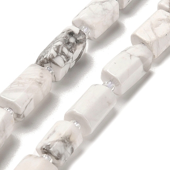 Natural Howlite Beads Strands, with Seed Beads, Faceted, Column, 12~13x6~8x6~8mm, Hole: 1mm, about 28pcs/strand, 15.55''~15.75'(39.5~40cm)