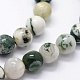 Chapelets de perles en agate d'arbre naturelle(G-I199-03-4mm)-3