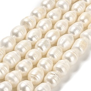 Natural Cultured Freshwater Pearl Beads Strands, Rice, Grade AB, Floral White, 12~12.5x9.5~11mm, Hole: 0.6mm, about 28pcs/strand, 13.78 inch(35cm)(PEAR-E016-082)