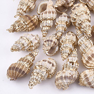 Electroplate Spiral Shell Pendants, with Iron Findings, Light Gold, Antique White, 26~42x13~20x12~17mm, Hole: 2mm(SSHEL-S262-24)