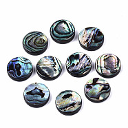 Natural Abalone Shell/Paua Shell Beads, Flat Round, Colorful, 14.5x3.5mm, Hole: 1mm(SSHEL-T014-14C)