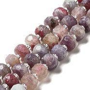Natural Pink Tourmaline Beads Strands, with Seed Beads, Faceted, Rondelle, 7~8x5~6mm, Hole: 1~1.2mm, about 20~22pcs/strand, 7.09~7.48 inch(18~19cm)(G-G980-02)