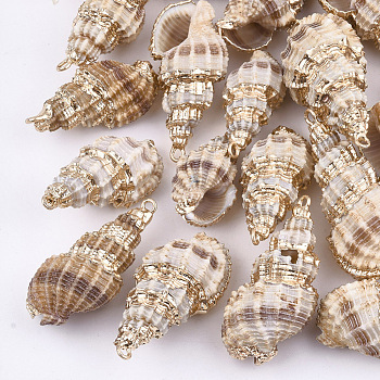 Electroplate Spiral Shell Pendants, with Iron Findings, Light Gold, Antique White, 26~42x13~20x12~17mm, Hole: 2mm