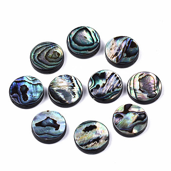 Natural Abalone Shell/Paua Shell Beads, Flat Round, Colorful, 14.5x3.5mm, Hole: 1mm