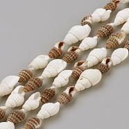 Natural Sea Shell Beads Strands, Mixed Color, 10~18x6~10x6~10mm, about 132pcs/strand, 62.9 inch(SSHEL-R043-06)