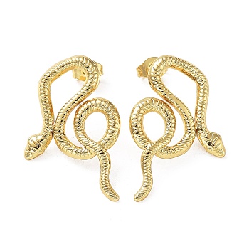 304 Stainless Steel Stud Earring, Garden Reptile Serpentine Snake Earring for Women, Real 18K Gold Plated, 30x20mm