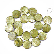 Freshwater Shell Beads Strands, Dyed and Drawbench, Flat Round, Yellow Green, 19.5~20.5x2.5~4mm, Hole: 1mm, 19~20pcs/strand, 15.5 inch~15.9 inch(X-SHEL-S274-62D)